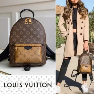 Palm Springs Small Backpack main product image